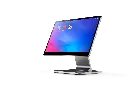 Swan-1-13.webp