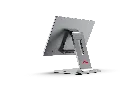 Swan-1-10.webp